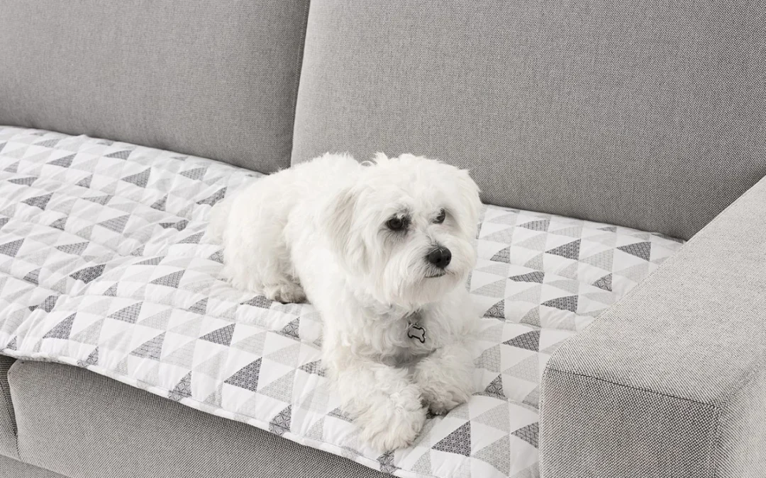 Funda sofá mascotas: protege tu sofá sin renunciar al estilo